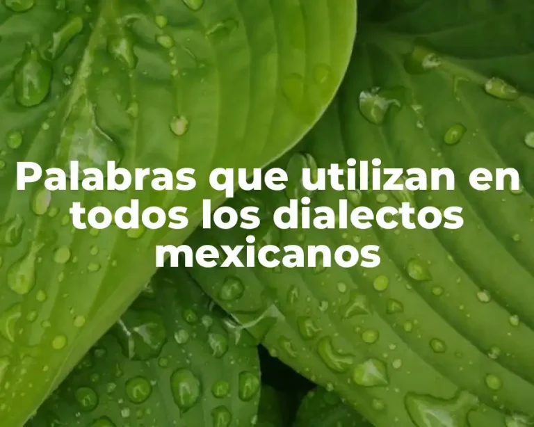 Palabras que utilizan en todos los dialectos mexicanos
