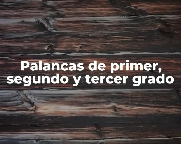 Palancas de primer, segundo y tercer grado