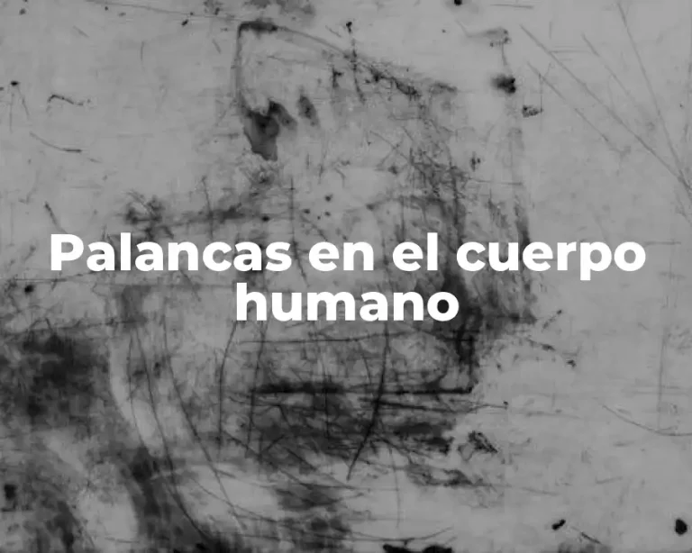 Palancas en el cuerpo humano