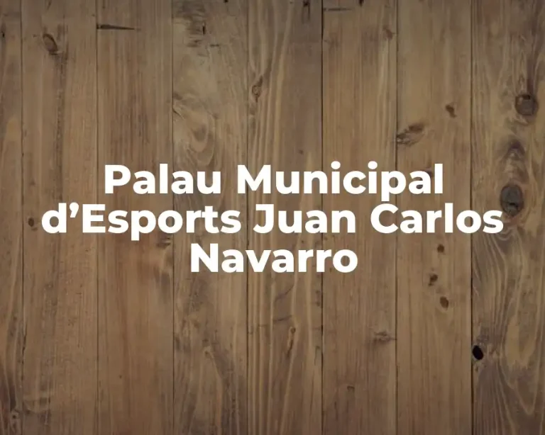 Palau Municipal d’Esports Juan Carlos Navarro