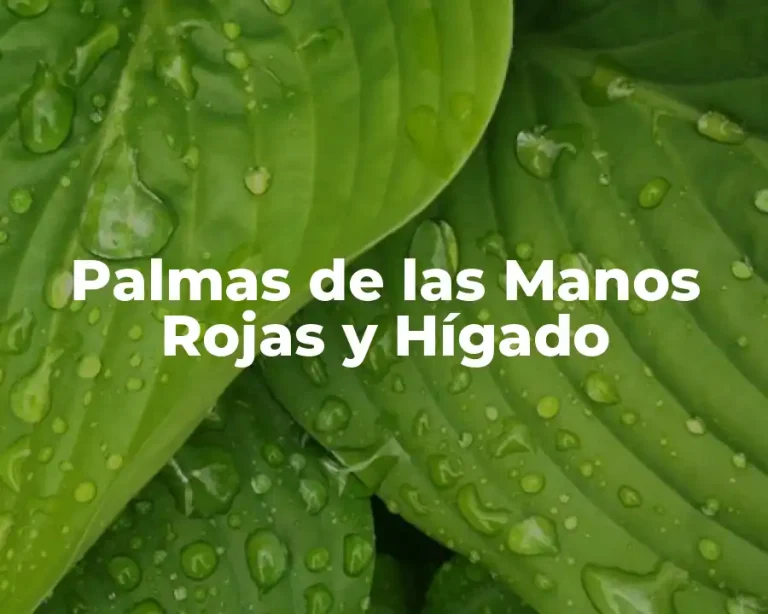 Palmas de las Manos Rojas y Hígado