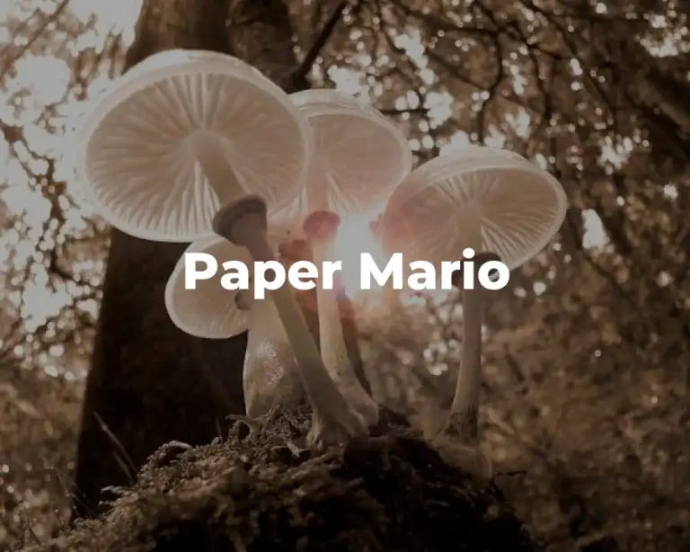 Paper Mario