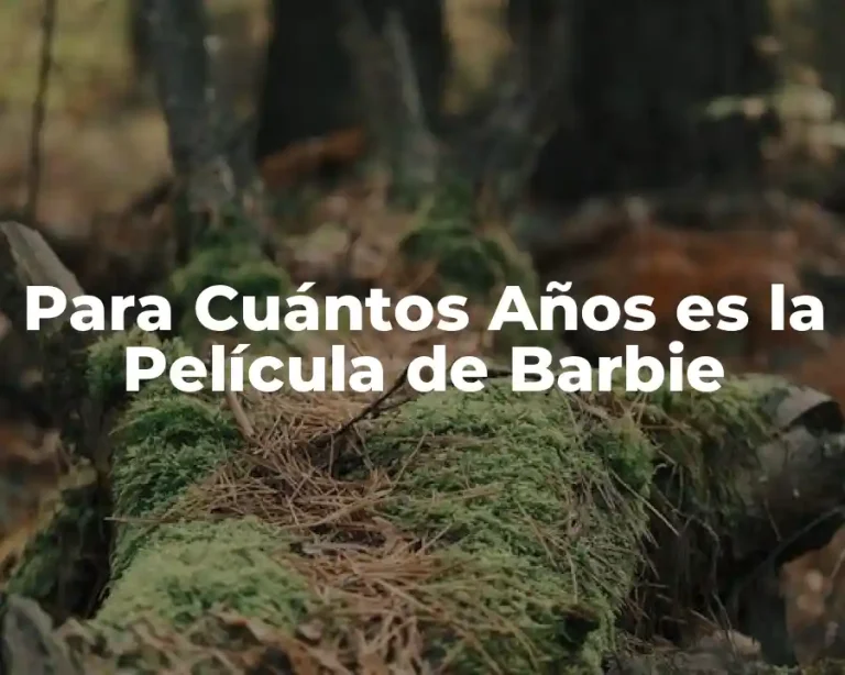 Para Cuántos Años es la Película de Barbie