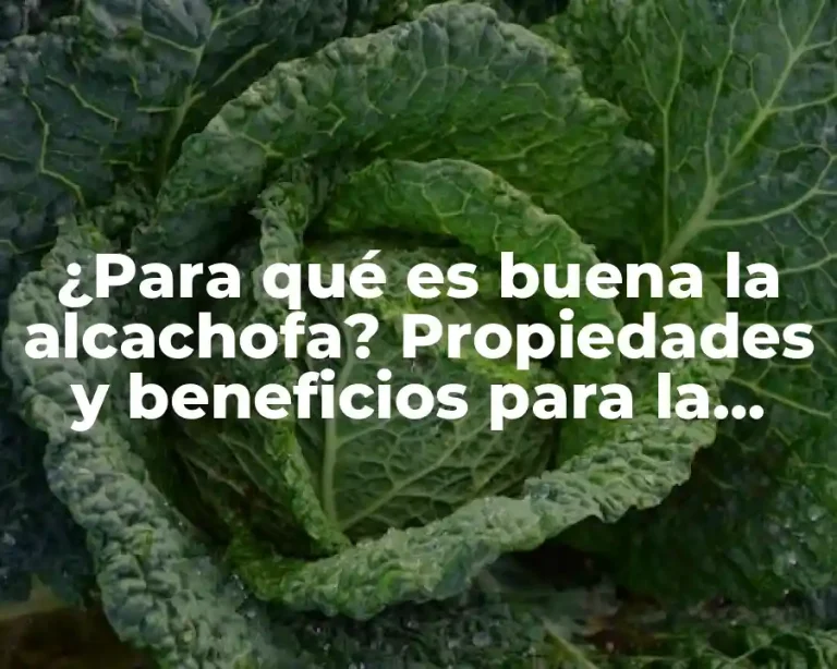 ¿Para qué es buena la alcachofa? Propiedades y beneficios para la salud