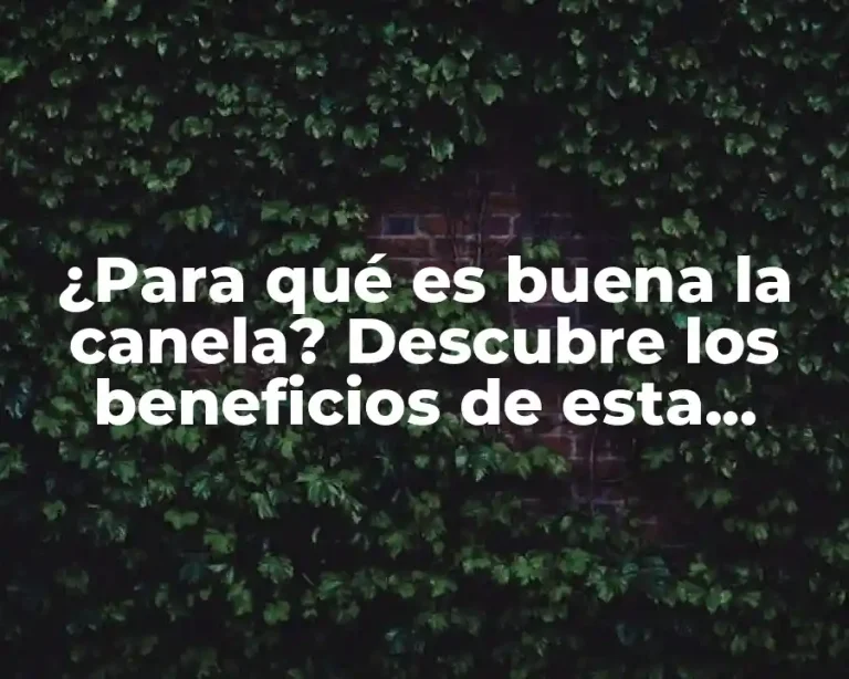 ¿Para qué es buena la canela? Descubre los beneficios de esta especia milenaria