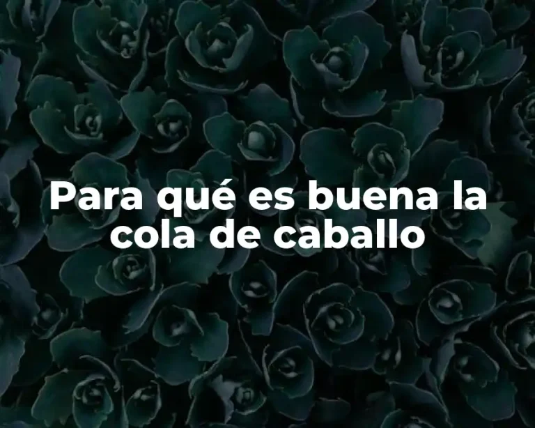 Para qué es buena la cola de caballo