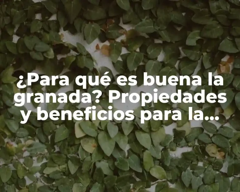 ¿Para qué es buena la granada? Propiedades y beneficios para la salud