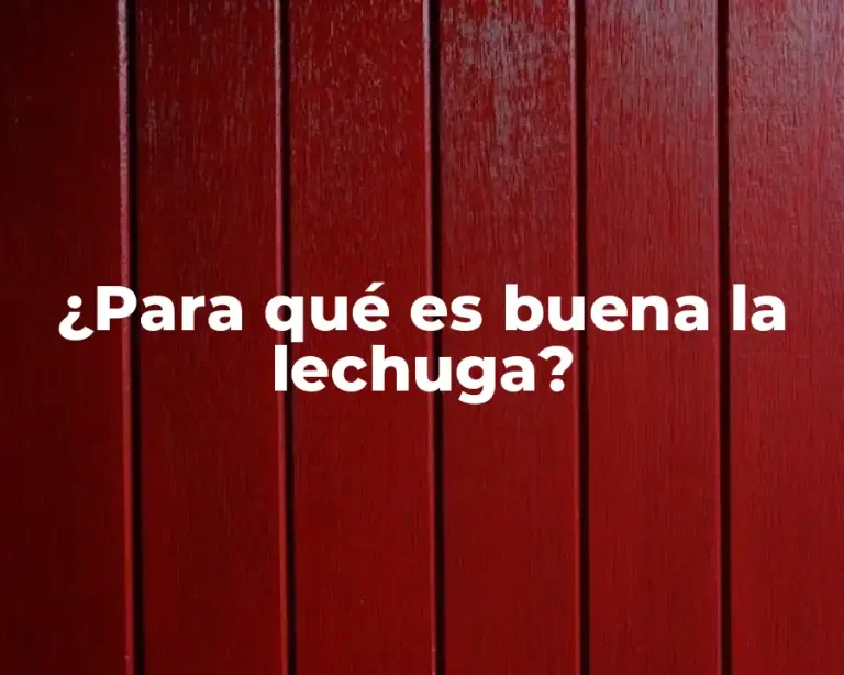 ¿Para qué es buena la lechuga?
