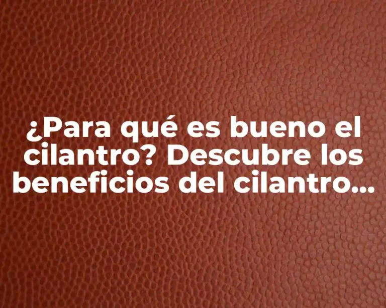 ¿Para qué es bueno el cilantro? Descubre los beneficios del cilantro para tu salud y cocina