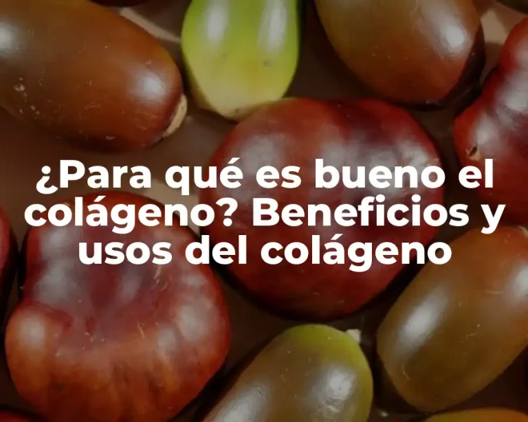¿Para qué es bueno el colágeno? Beneficios y usos del colágeno