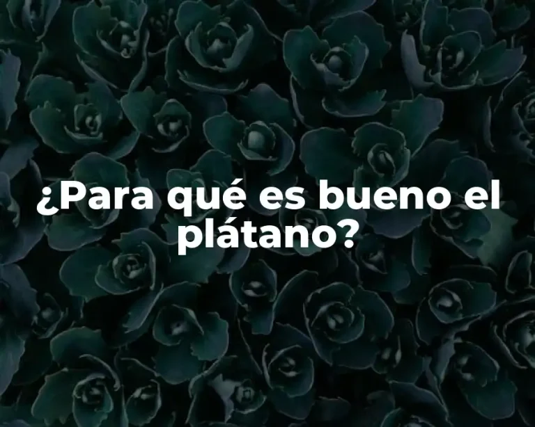 ¿Para qué es bueno el plátano?