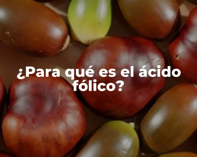 ¿Para qué es el ácido fólico?