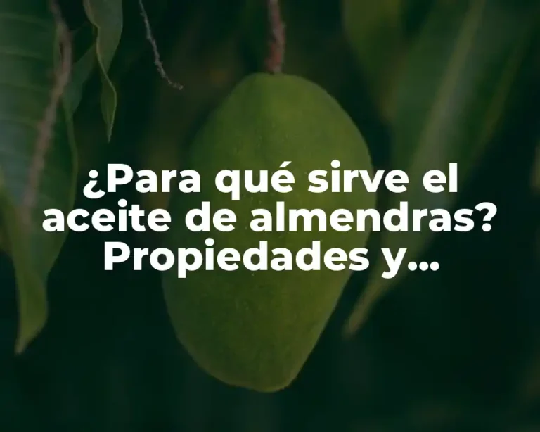 ¿Para qué sirve el aceite de almendras? Propiedades y beneficios del aceite de almendras