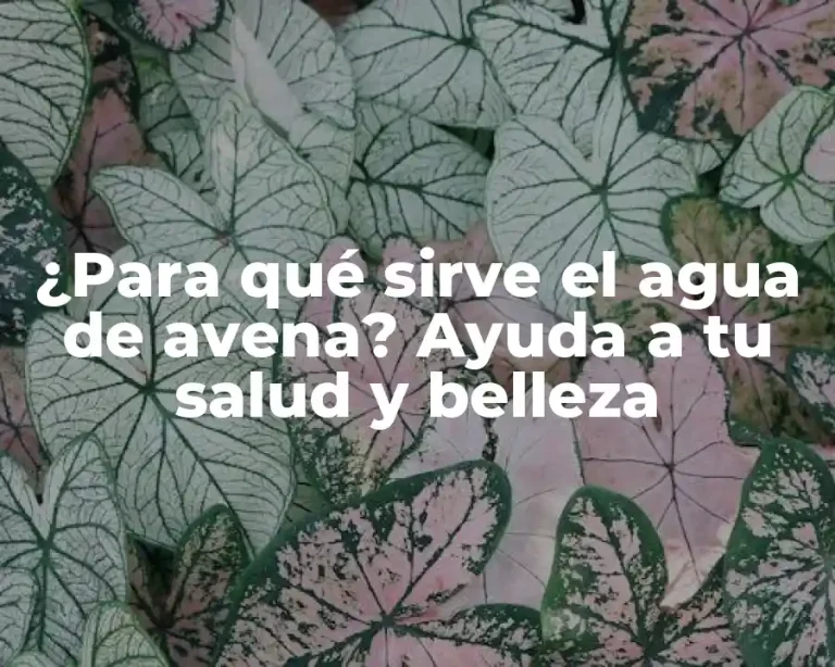 ¿Para qué sirve el agua de avena? Ayuda a tu salud y belleza
