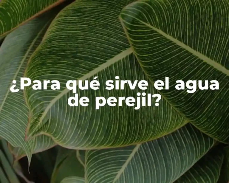 ¿Para qué sirve el agua de perejil?