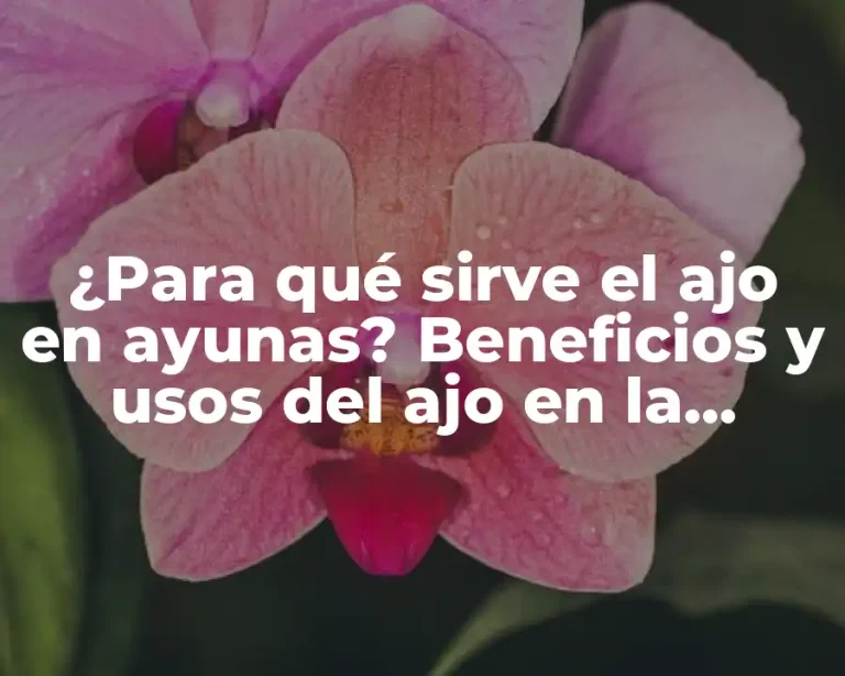 ¿Para qué sirve el ajo en ayunas? Beneficios y usos del ajo en la mañana