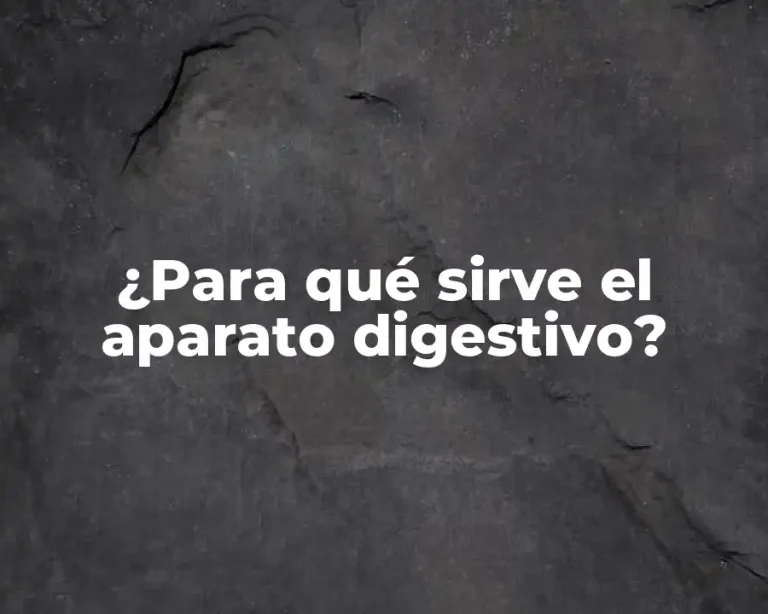 ¿Para qué sirve el aparato digestivo?