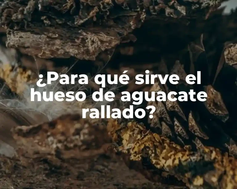 ¿Para qué sirve el hueso de aguacate rallado?