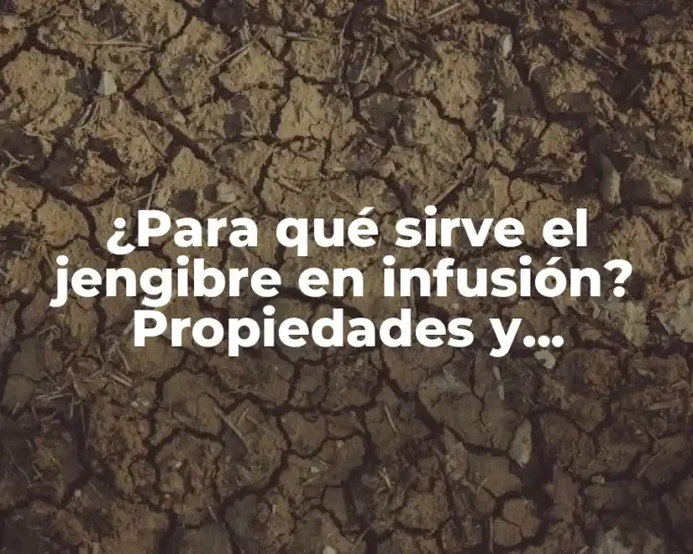 ¿Para qué sirve el jengibre en infusión? Propiedades y Beneficios