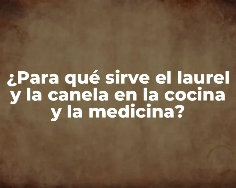 ¿Para qué sirve el laurel y la canela en la cocina y la medicina?
