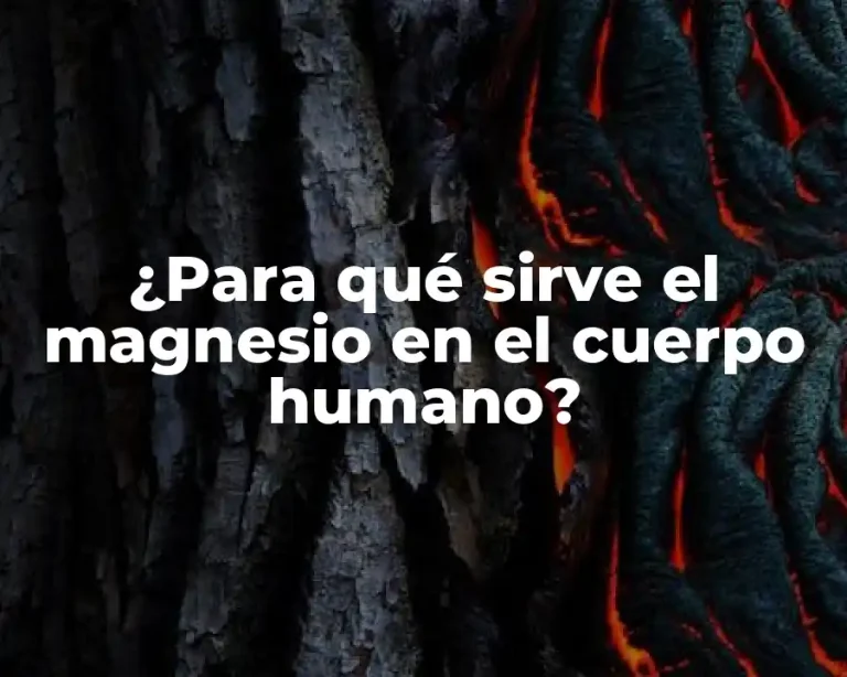 ¿Para qué sirve el magnesio en el cuerpo humano?