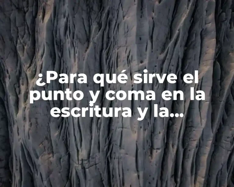 ¿Para qué sirve el punto y coma en la escritura y la gramática?
