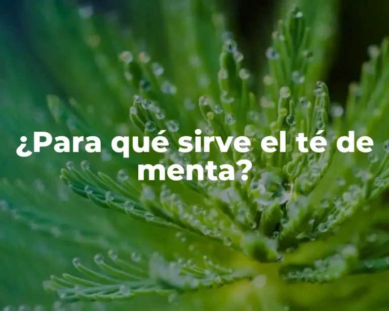 ¿Para qué sirve el té de menta?