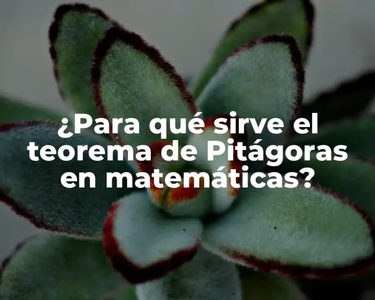 ¿Para qué sirve el teorema de Pitágoras en matemáticas?