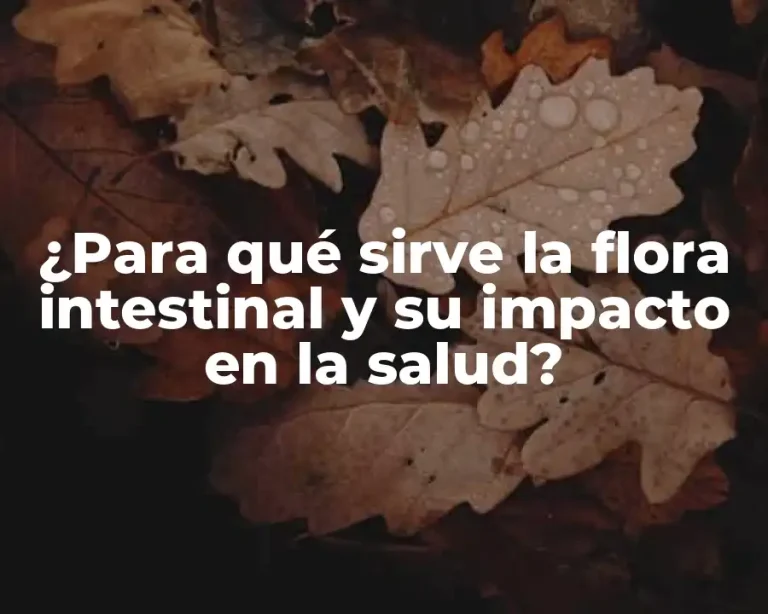 ¿Para qué sirve la flora intestinal y su impacto en la salud?