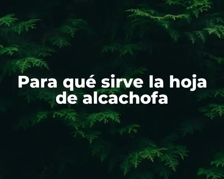 Para qué sirve la hoja de alcachofa