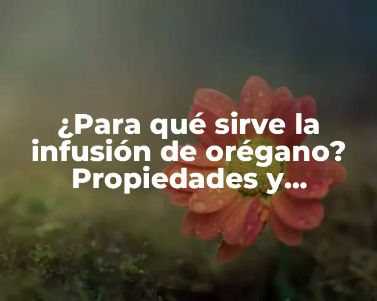 ¿Para qué sirve la infusión de orégano? Propiedades y beneficios para la salud