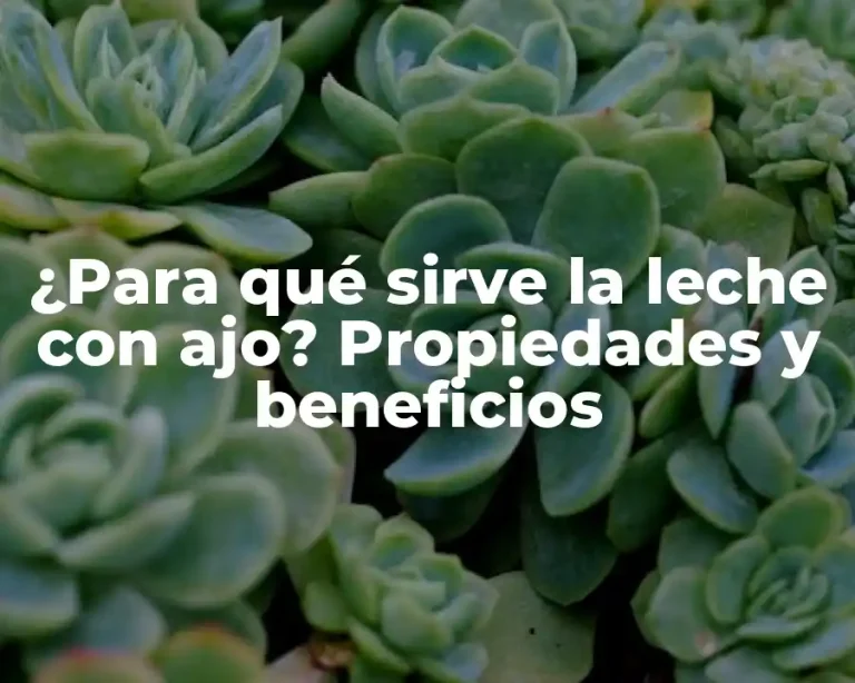 ¿Para qué sirve la leche con ajo? Propiedades y beneficios