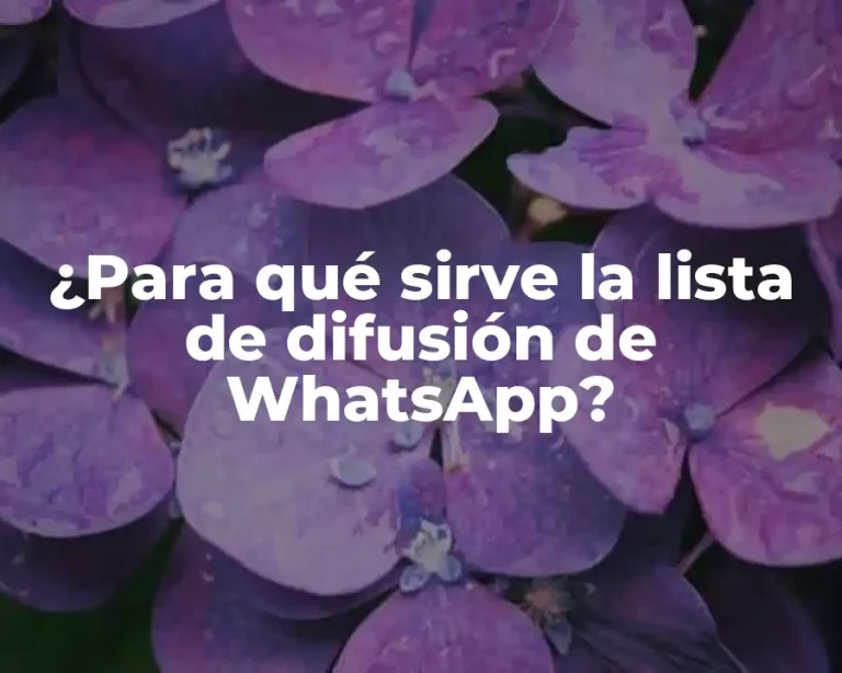 ¿Para qué sirve la lista de difusión de WhatsApp?