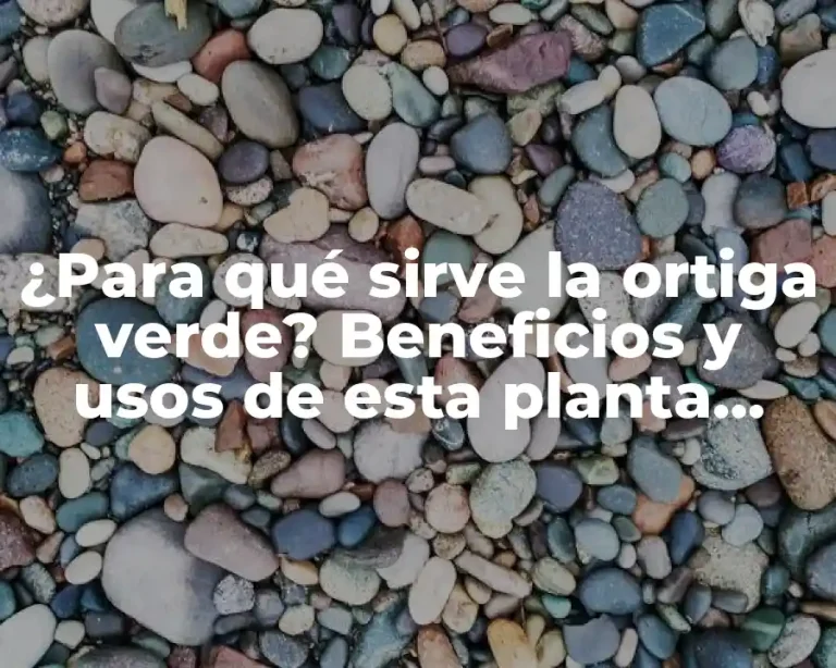 ¿Para qué sirve la ortiga verde? Beneficios y usos de esta planta medicinal