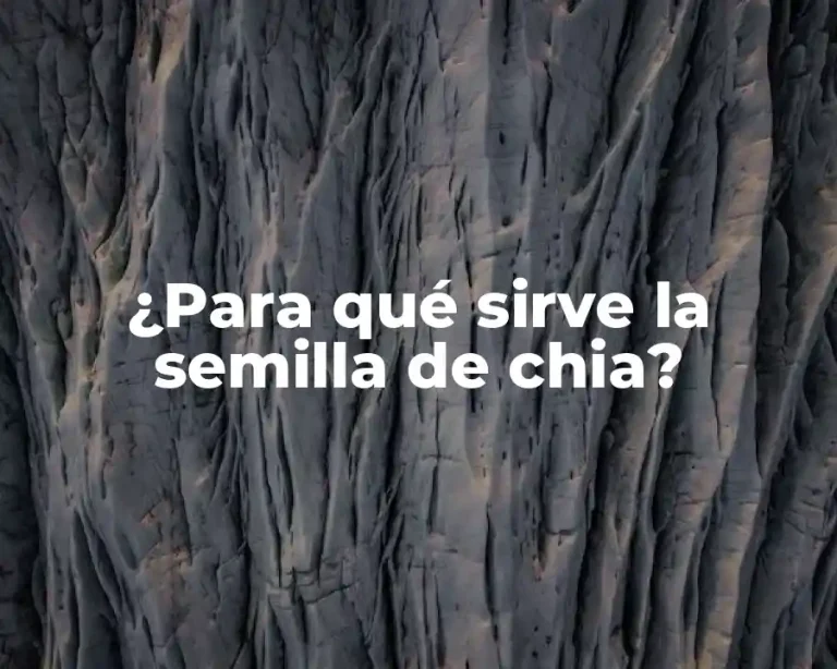¿Para qué sirve la semilla de chia?
