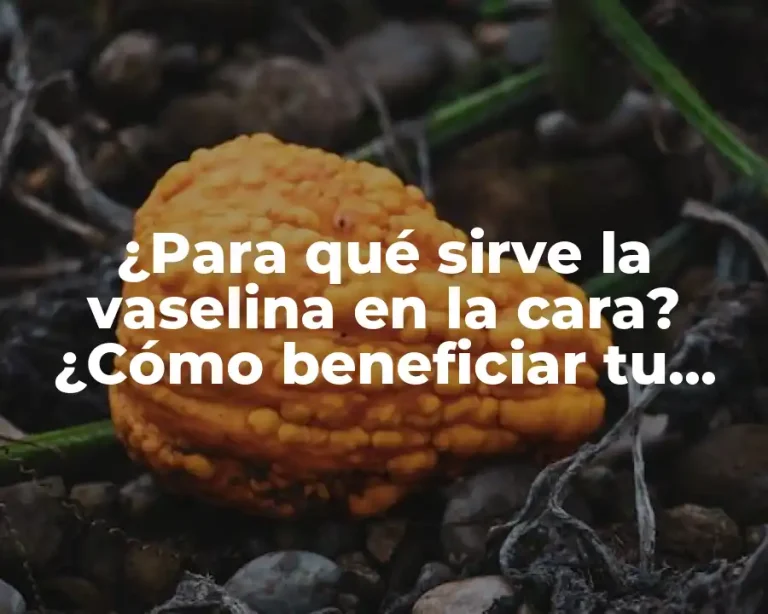 ¿Para qué sirve la vaselina en la cara? ¿Cómo beneficiar tu piel con este producto?