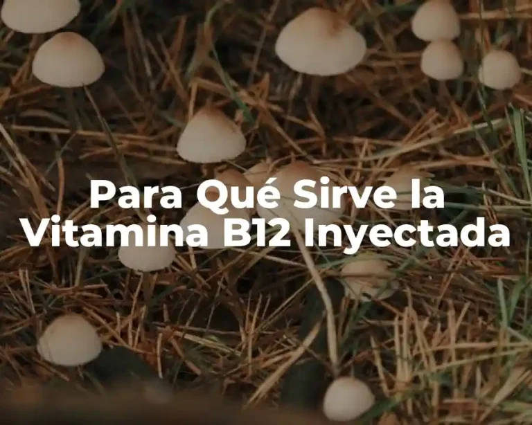 Para Qué Sirve la Vitamina B12 Inyectada