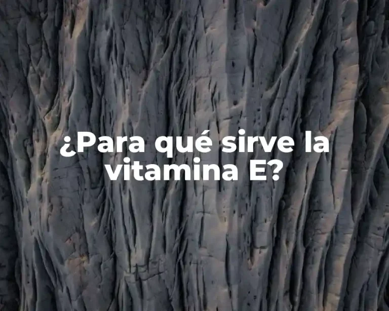 ¿Para qué sirve la vitamina E?