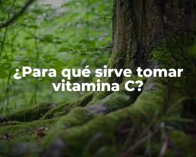 ¿Para qué sirve tomar vitamina C?