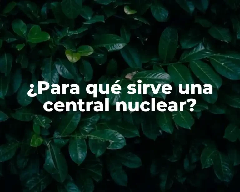 ¿Para qué sirve una central nuclear?