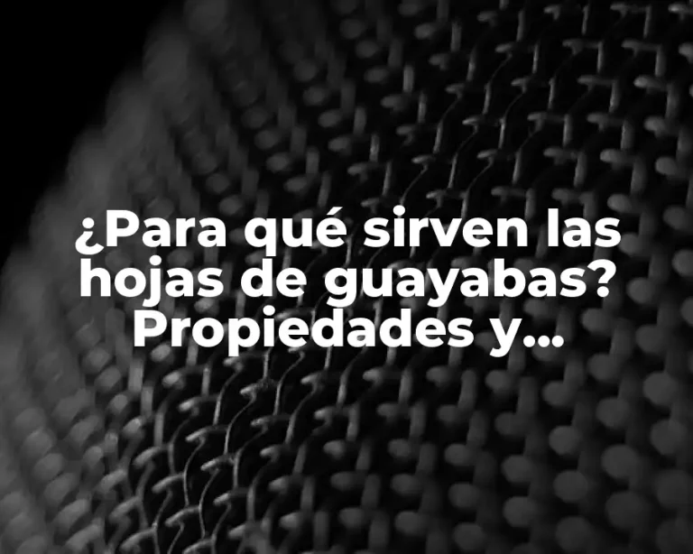 ¿Para qué sirven las hojas de guayabas? Propiedades y Beneficios