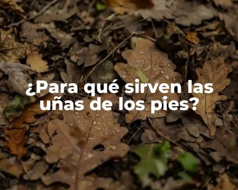 ¿Para qué sirven las uñas de los pies?
