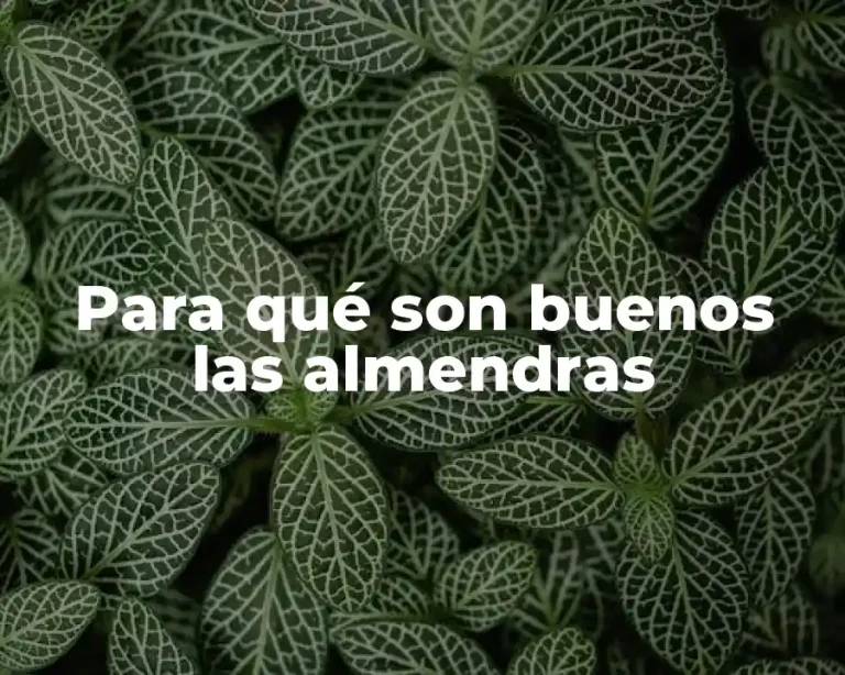 Para qué son buenos las almendras