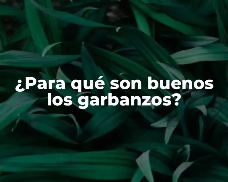 ¿Para qué son buenos los garbanzos?