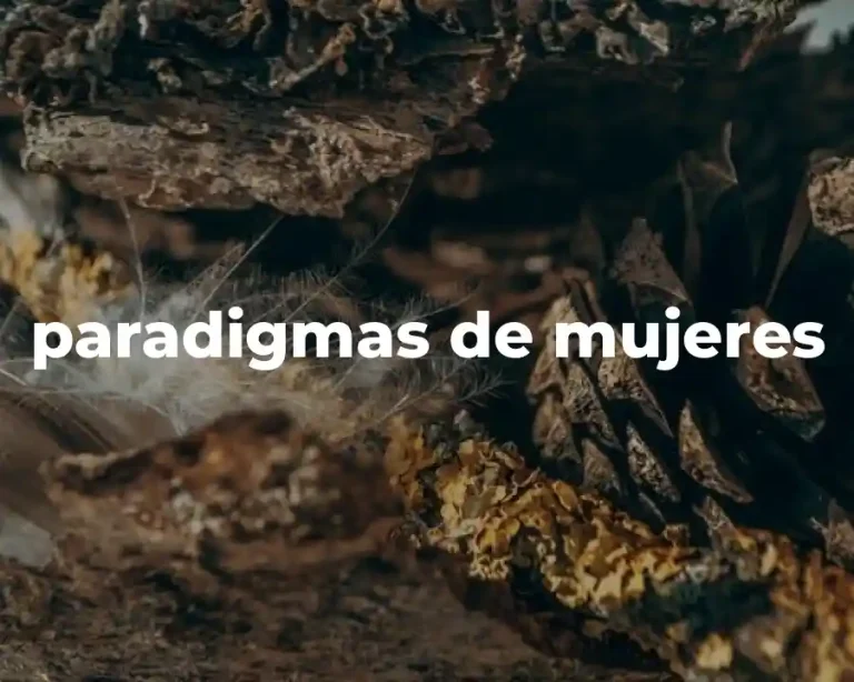 paradigmas de mujeres