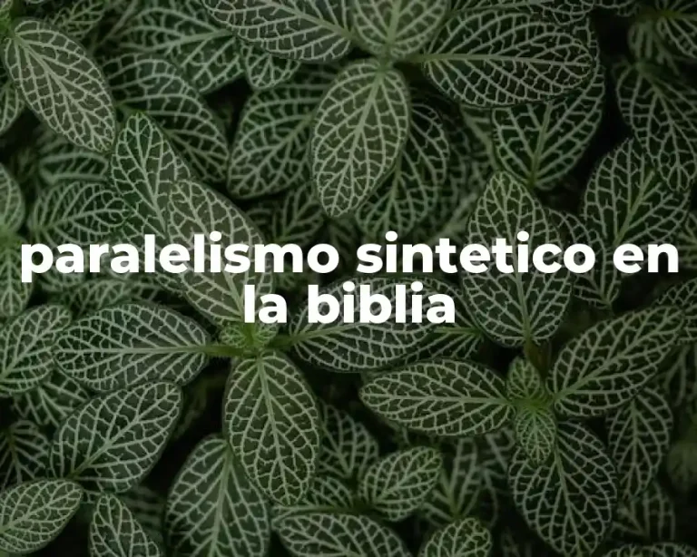 paralelismo sintetico en la biblia