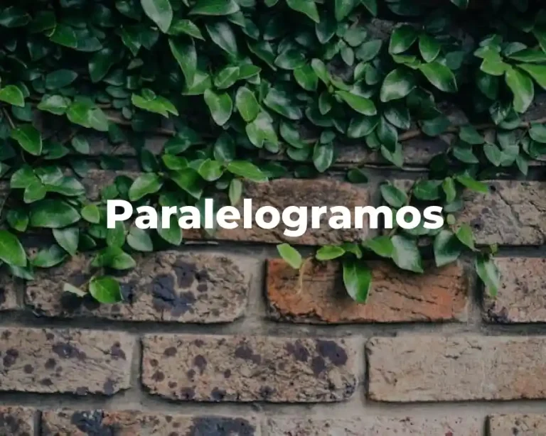 Paralelogramos