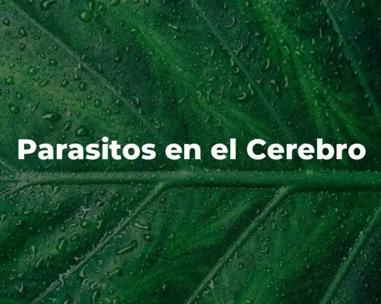 Parasitos en el Cerebro
