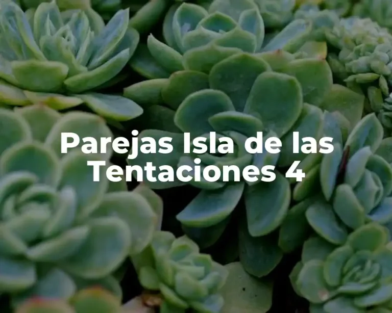 Parejas Isla de las Tentaciones 4