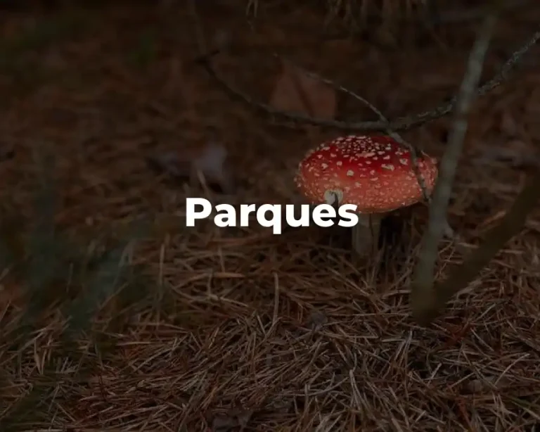 Parques